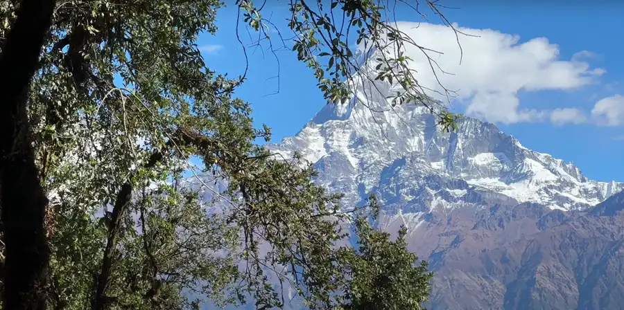 Mardi Himal Trek 