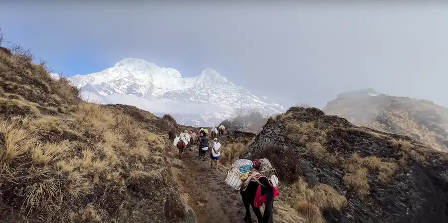 Mardi Himal Trek 