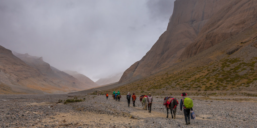 Mount Kailash Tour (8)