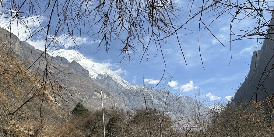 Langtang Trek (3)