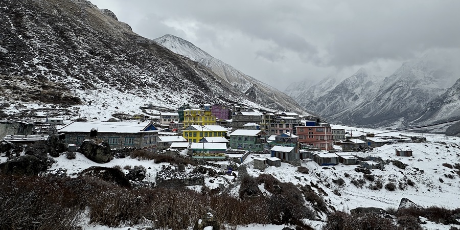 Langtang Village to Kyanjin Gompa-Langtang Valley Trek (1)