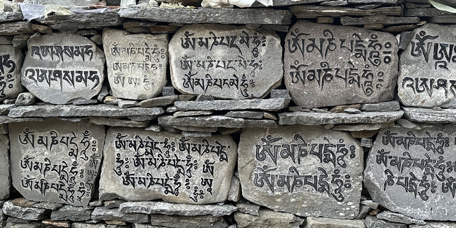 Langtang Village to Kyanjin Gompa-Langtang Valley Trek (5)