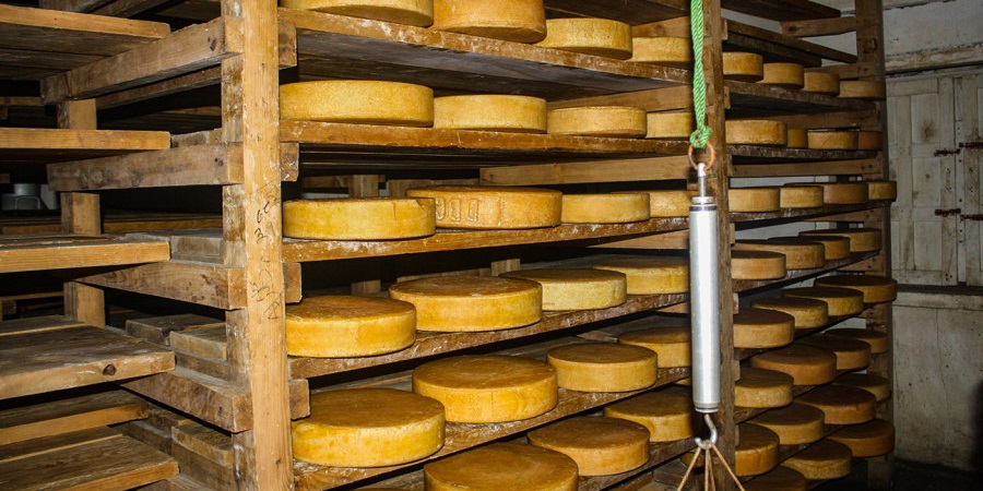 Yak Cheese Langtang Valley Trek