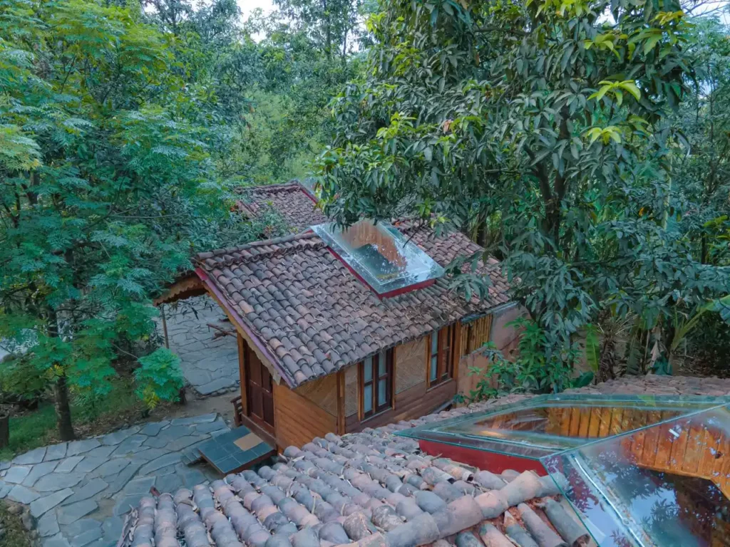 Luxury Chitwan Jungle Safari