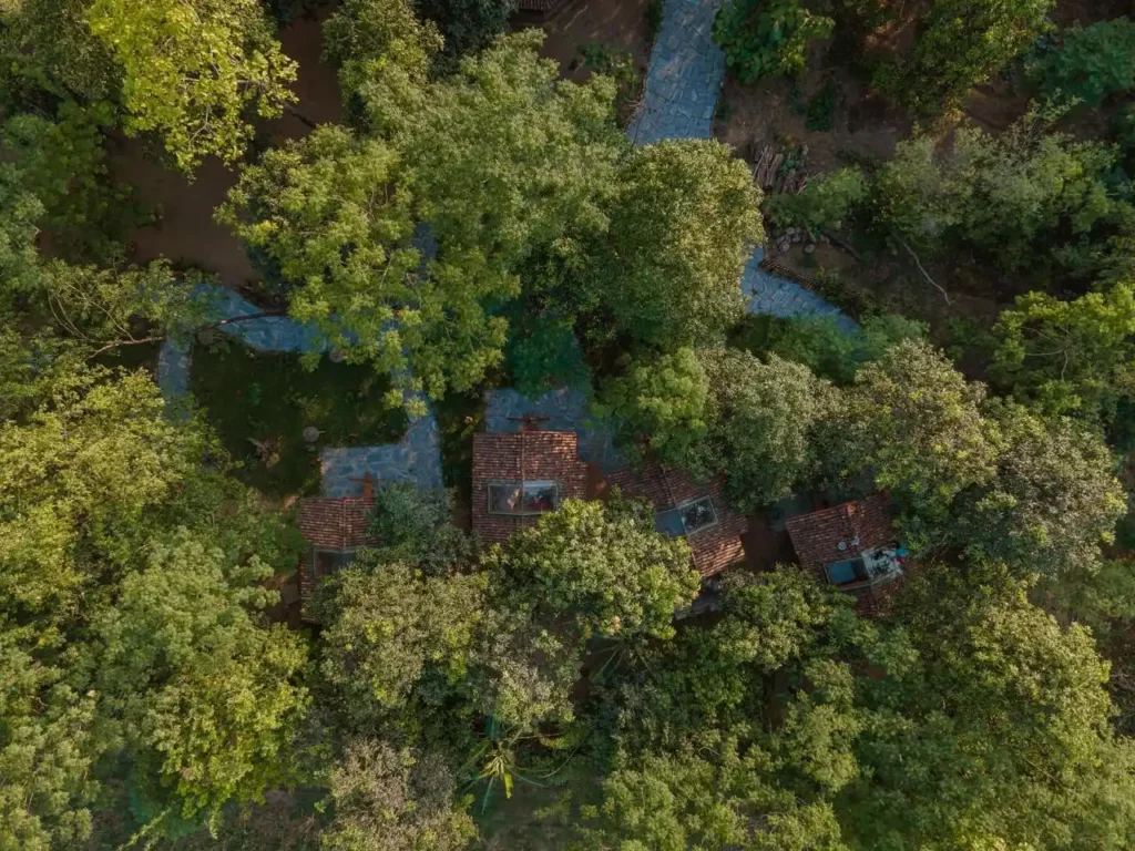 Luxury Chitwan Jungle Safari