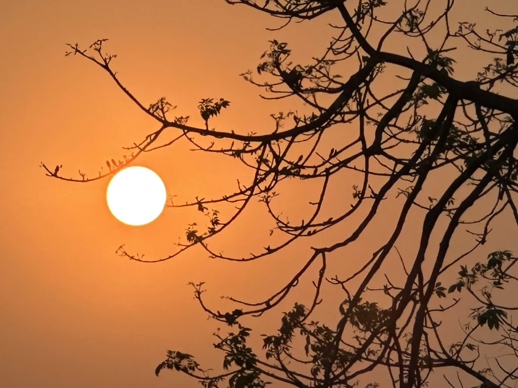 Luxury Chitwan Jungle Safari