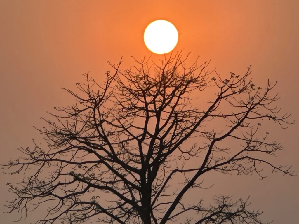 Luxury Chitwan Jungle Safari