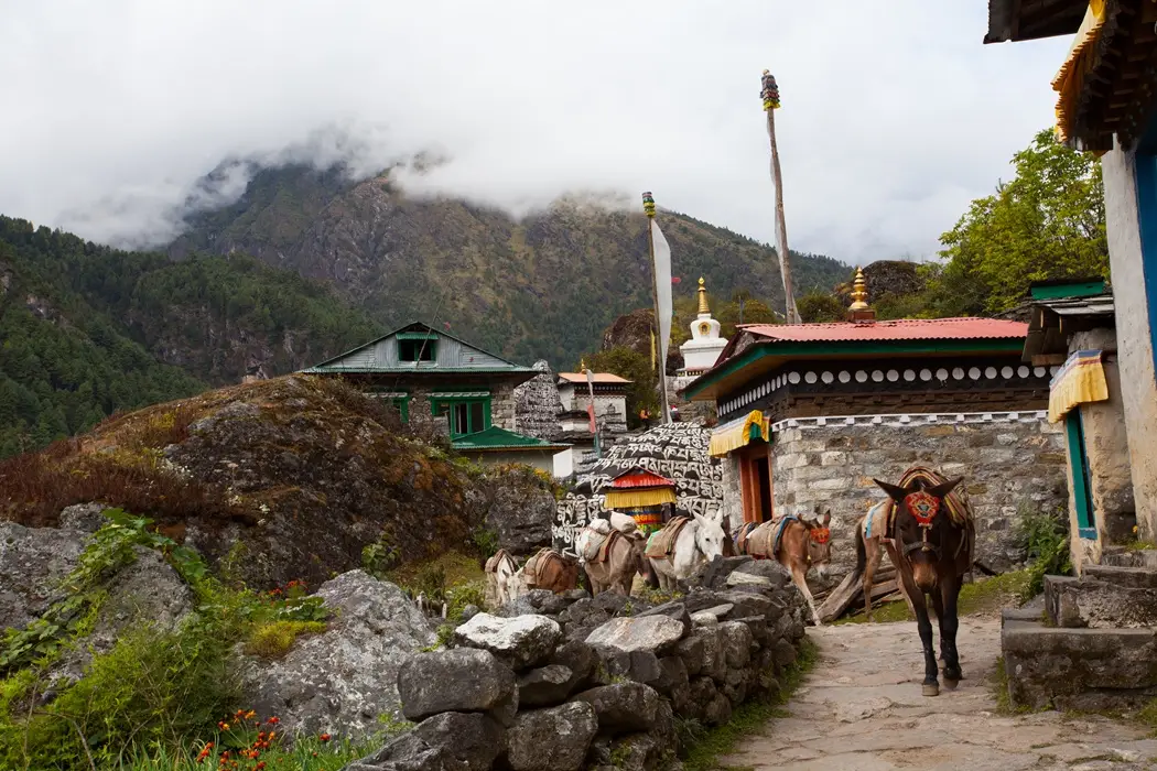 Everest Elite Luxury Heli Trek