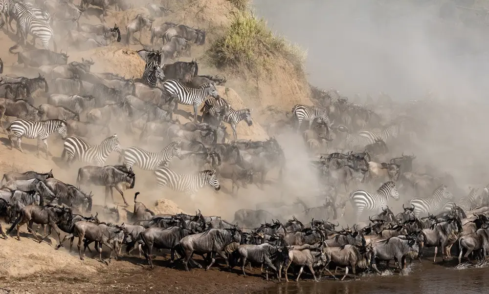 5-Day Tanzania Safari 