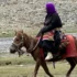 POny hire during Kailash Mansarovar Yatra