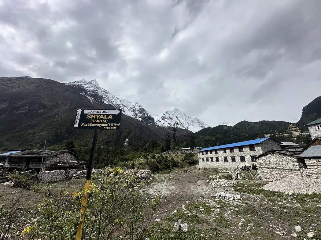 Manaslu Circuit Trek: The Alpine Gateway of Syala Gaon (Shyala)