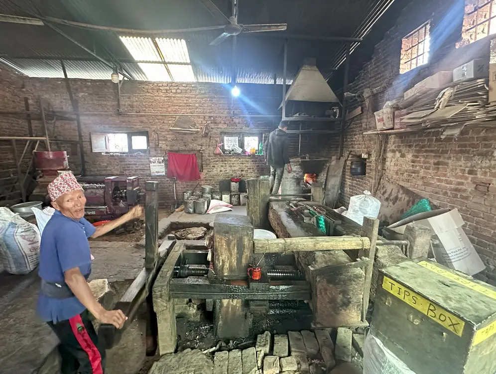 Nepal Leopard and Heritage Tour