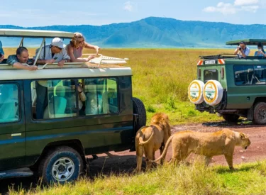 5-Day Tanzania Safari