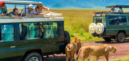 5-Day Tanzania Safari