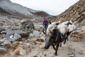 Cho La Pass Crossing: Gokyo to Everest Base Camp Cho La Pass Crossing: Gokyo to Everest Base Camp
